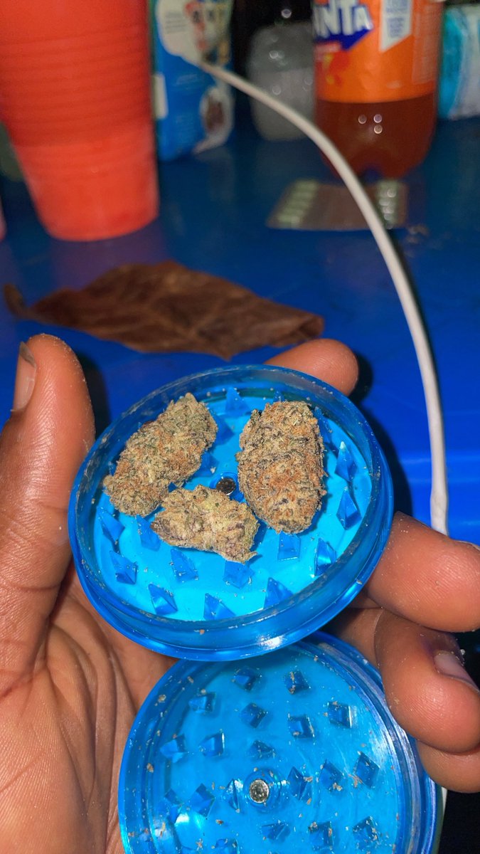 Most Wanted Strain 🍂🔌💨 tweet media