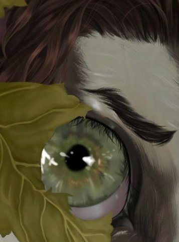 asterell - open commissions tweet media