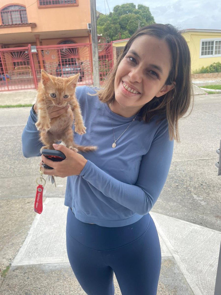 Doris2614's tweet photo. ✨ ¡Buenas noticias! ✨

Nuestro hermoso bebé rubio, Gari, ¡ya fue adoptado! 🐱💛Fundación Rescatando Bigotes PTY. 

Después de esperar por una familia que lo amara como merece, hoy podemos anunciar que este pequeño ya se encuentra en su nuevo hogar, rodeado de cariño y felicidad https://t.co/6dxLoGlQVM