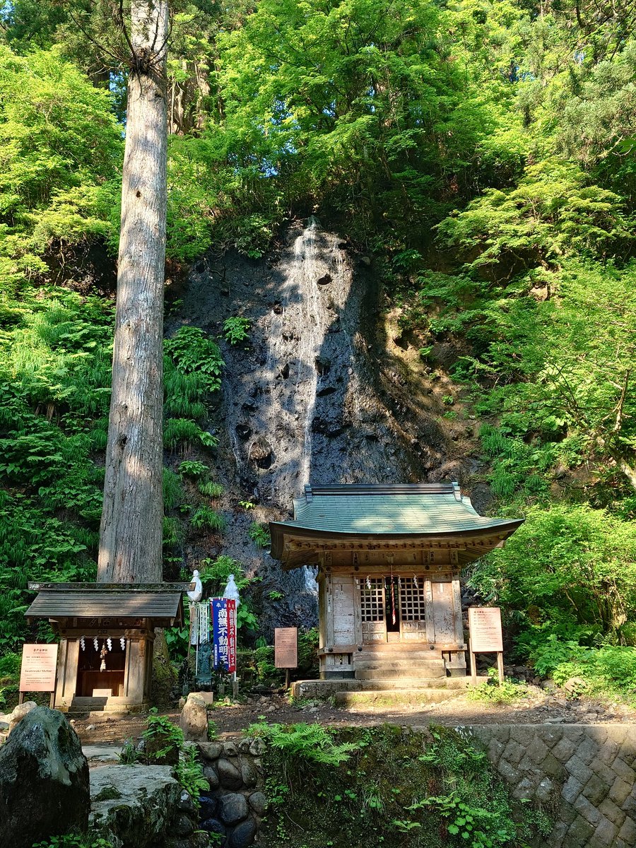 軍荼利 tweet media