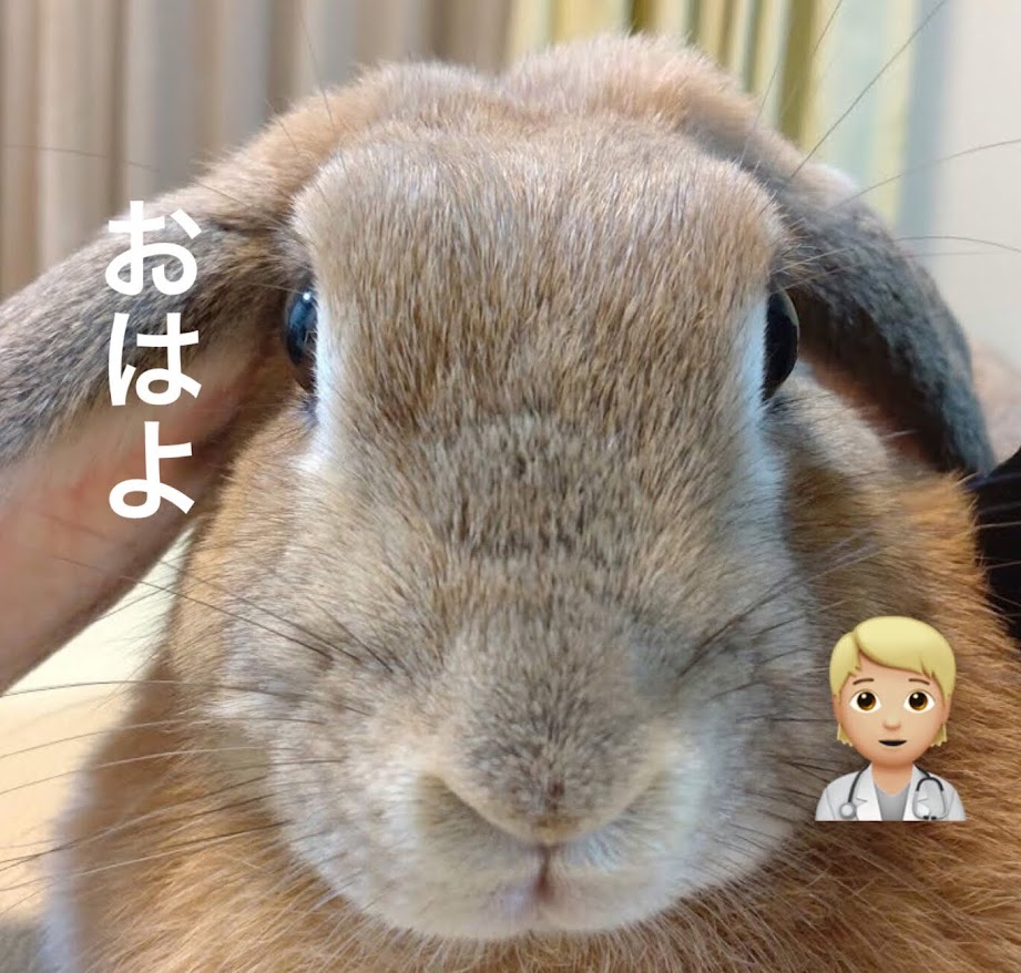ヤンスー tweet media