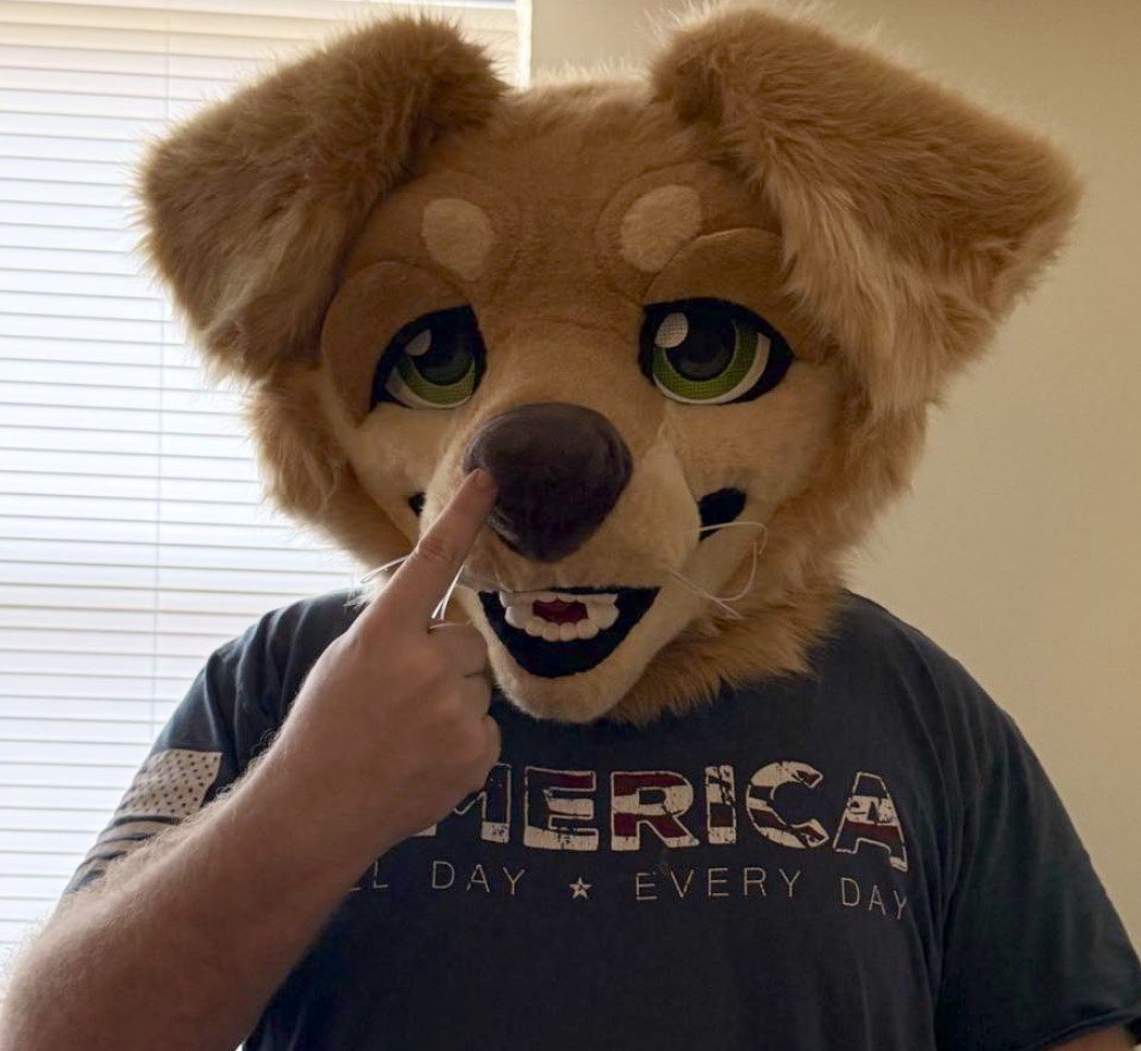Sample The Dog 🔜 AC tweet media