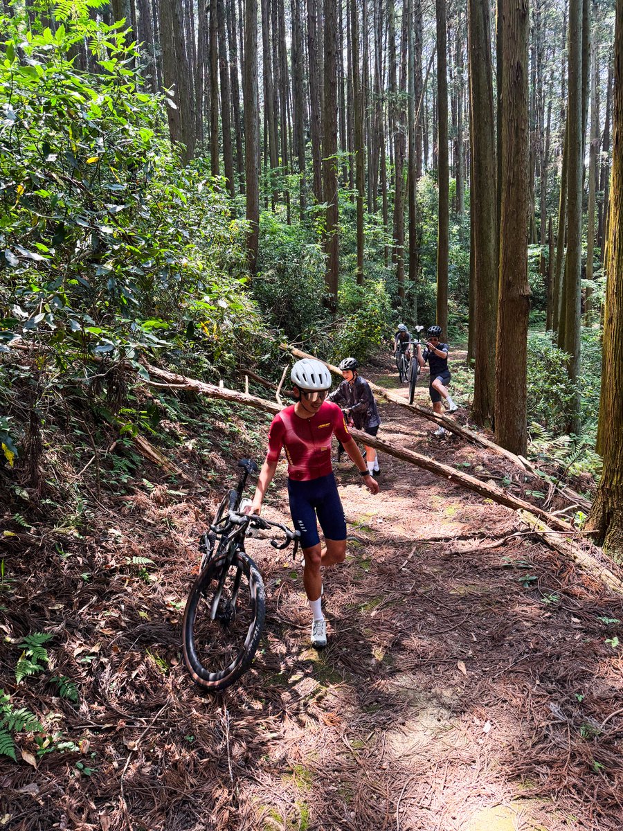 keitsuji's tweet photo. 昨日は普段自分が遊んでいるルートを池田のポイントキャンバスのお客さんたちに披露する回。いつも走っているエリアでも、面倒臭がらずにちょっと太めのタイヤと勇気をもって道を外れると楽しい道があるもの（定期）。バイクを操る楽しさをもっと発信しないといけないと思った次第です。 https://t.co/xvxndWyhVC