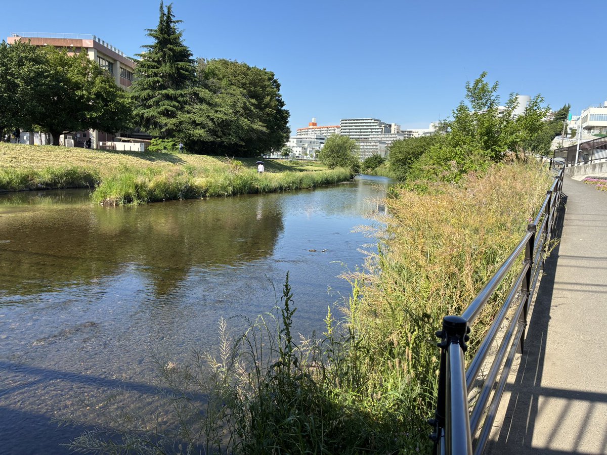 Daisuke680422's tweet photo. 気温があがる前にサクッと朝ラン。　黒目川　水辺の風が気持ち良い https://t.co/Wxbyc1hIKR
