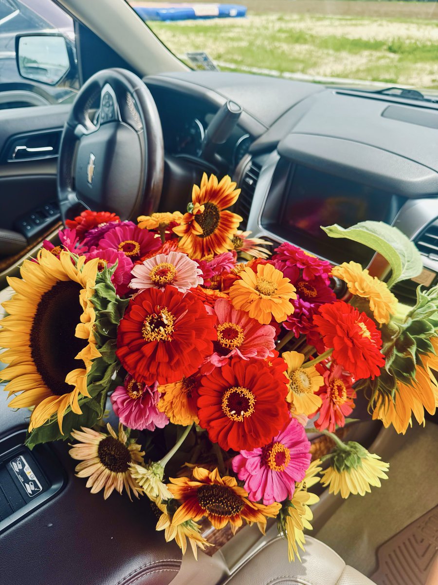 beckamarieee's tweet photo. Fresh-picked serotonin 🌸🌻 https://t.co/HhLWzA0HjR
