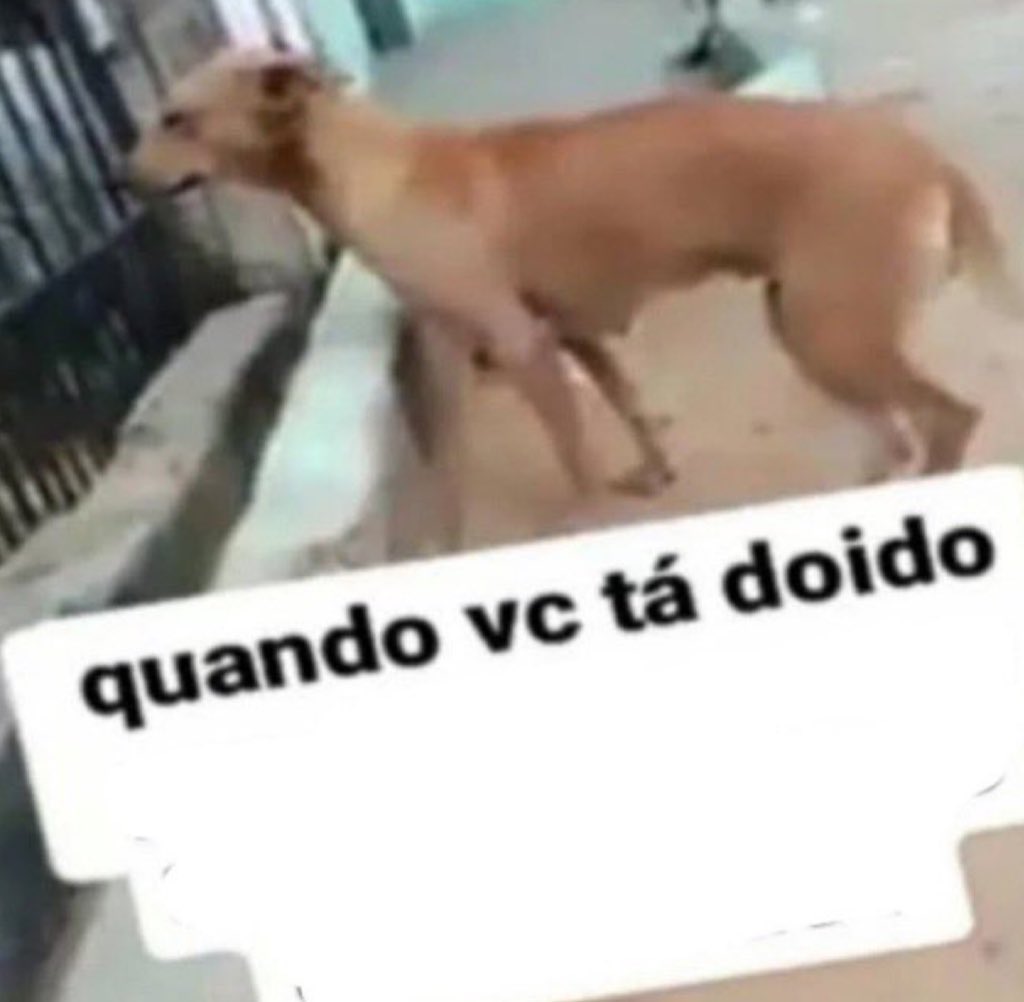 takkimiese's tweet photo. como me sinto após chutar todas as questões de ciências da natureza usando mamãe mandou https://t.co/3iBfpXAagi