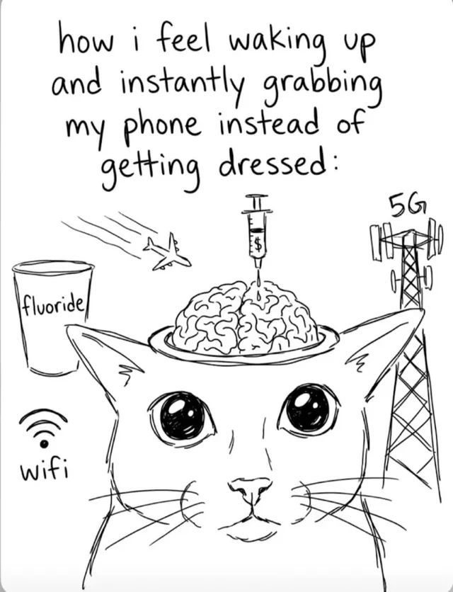 Cool Cat Society tweet media