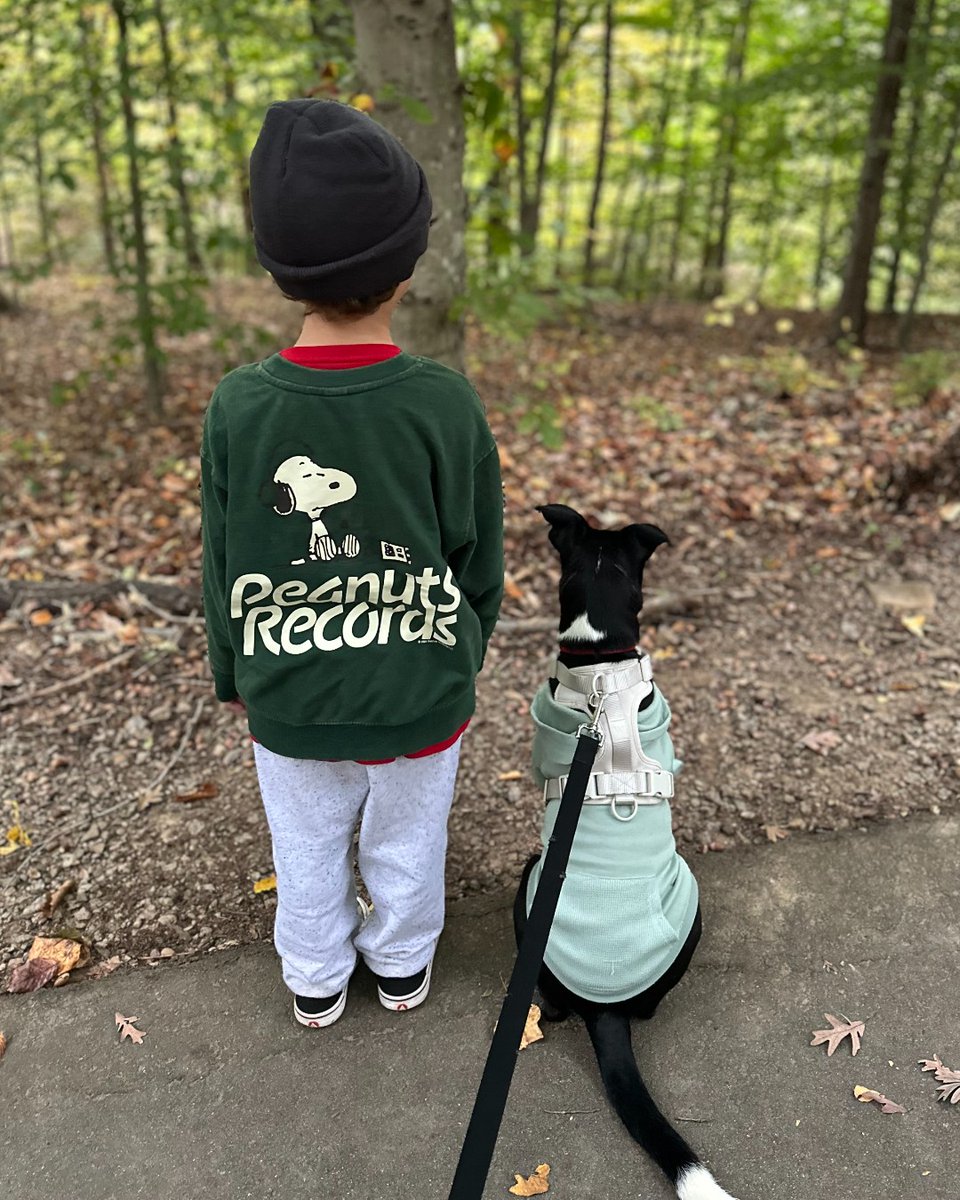 Humane Society of Charlotte tweet media