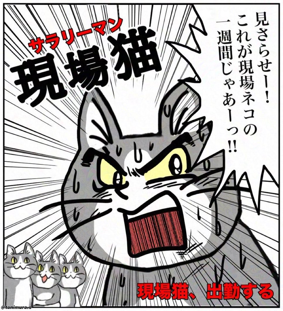 kazu tweet media