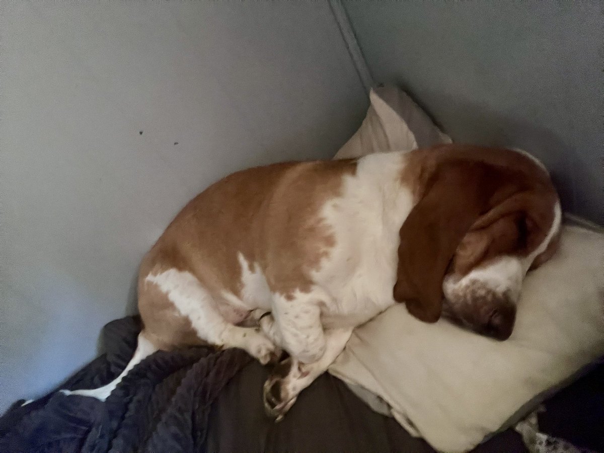 Sgt. Tater Ret. tweet media