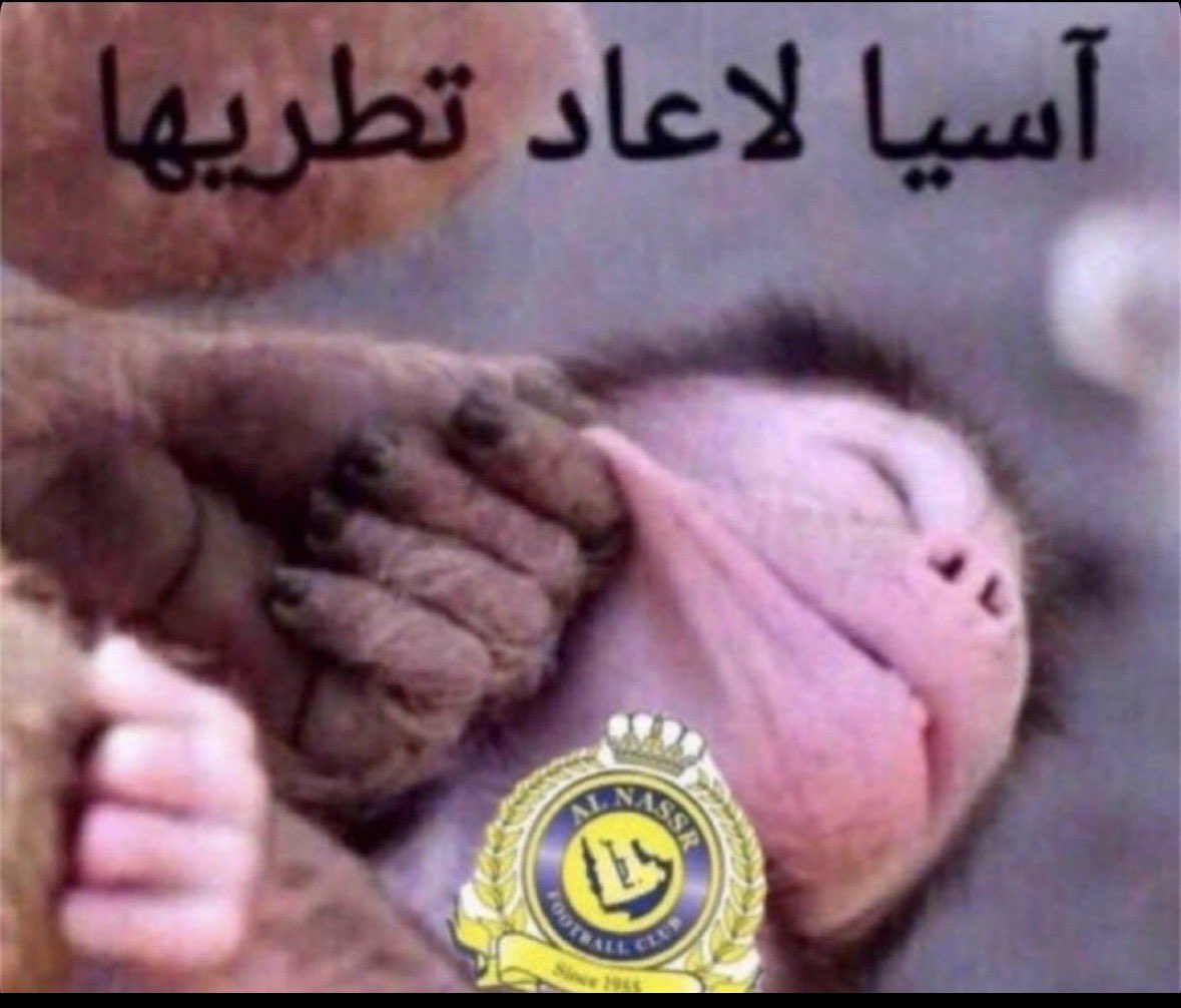 الزعيم الهلالي tweet media