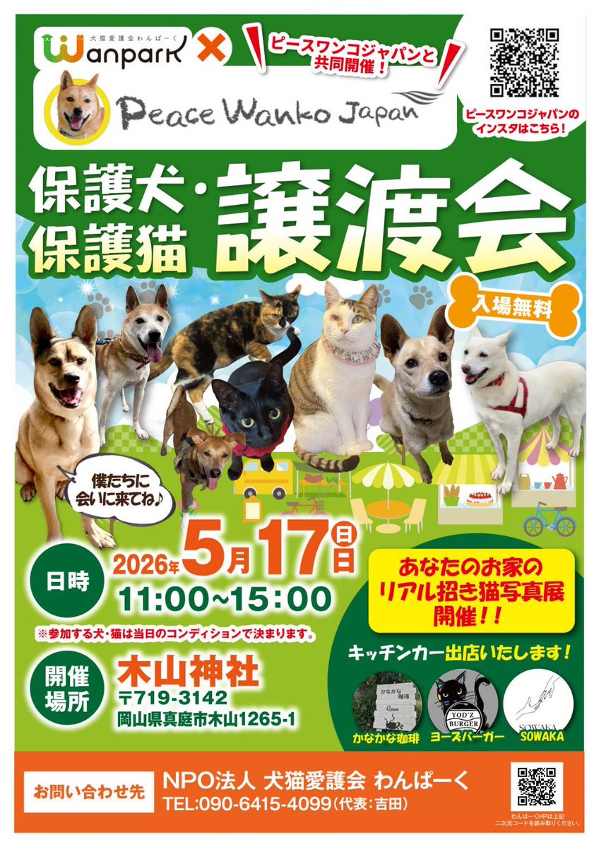 木山神社の招き猫 テン tweet media