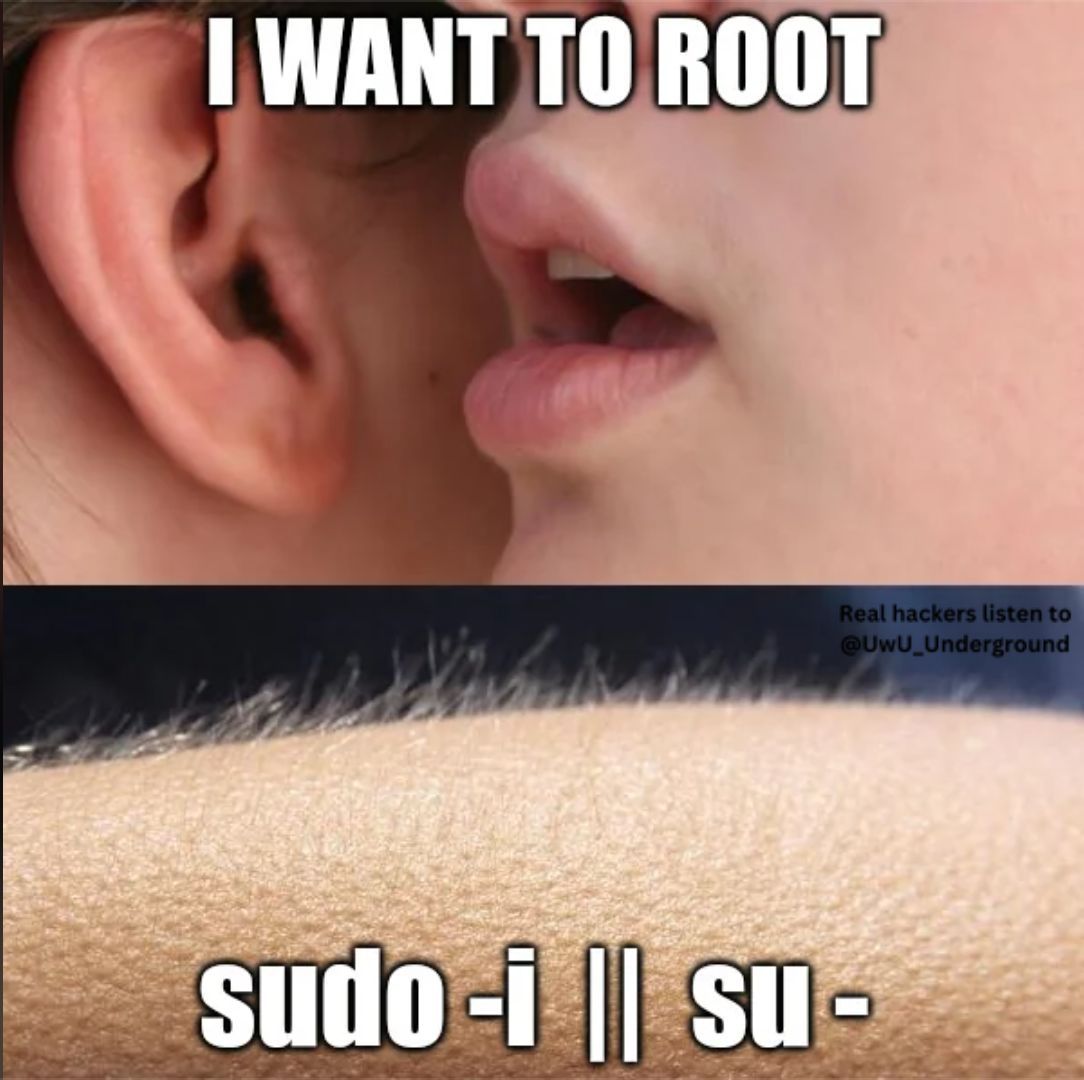 sudox tweet media