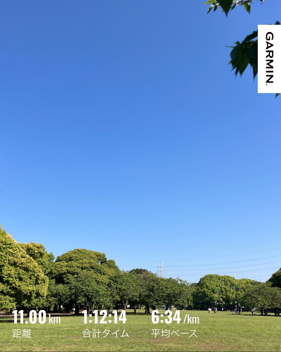 ハマラン tweet media
