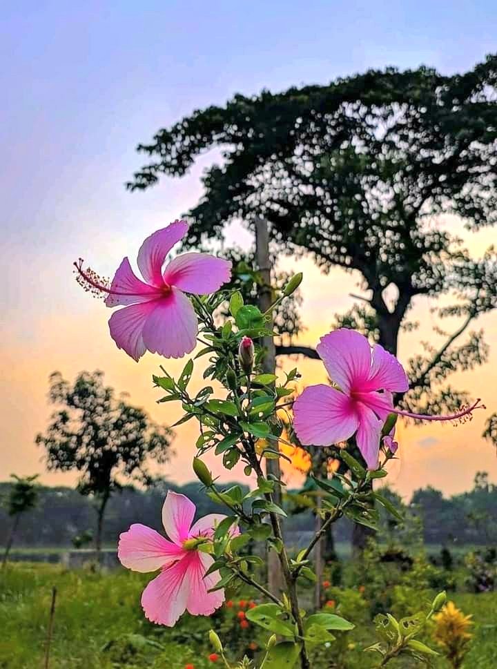 Neha🦋🦋 tweet media