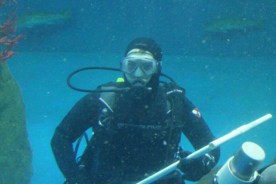 braydenrubber's tweet photo. @Phoenix_Dutchie This looks phenomenal!    I need to get back to diving again.   Haven’t been since I quit working at SeaWorld https://t.co/PNJAst7wdh