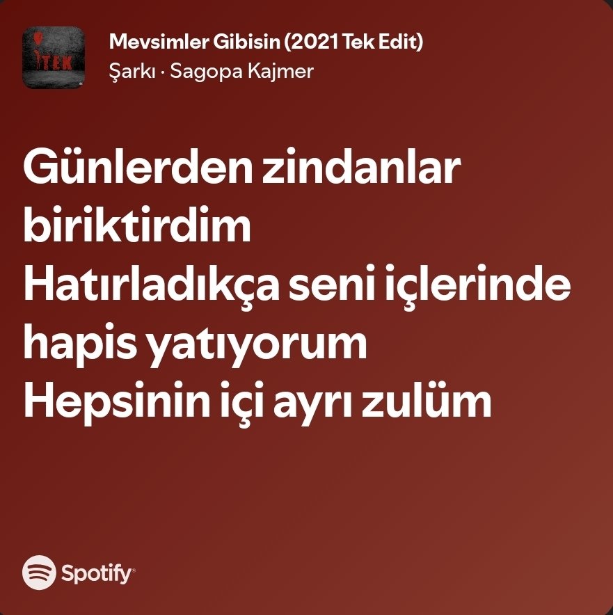 🦇 tweet media