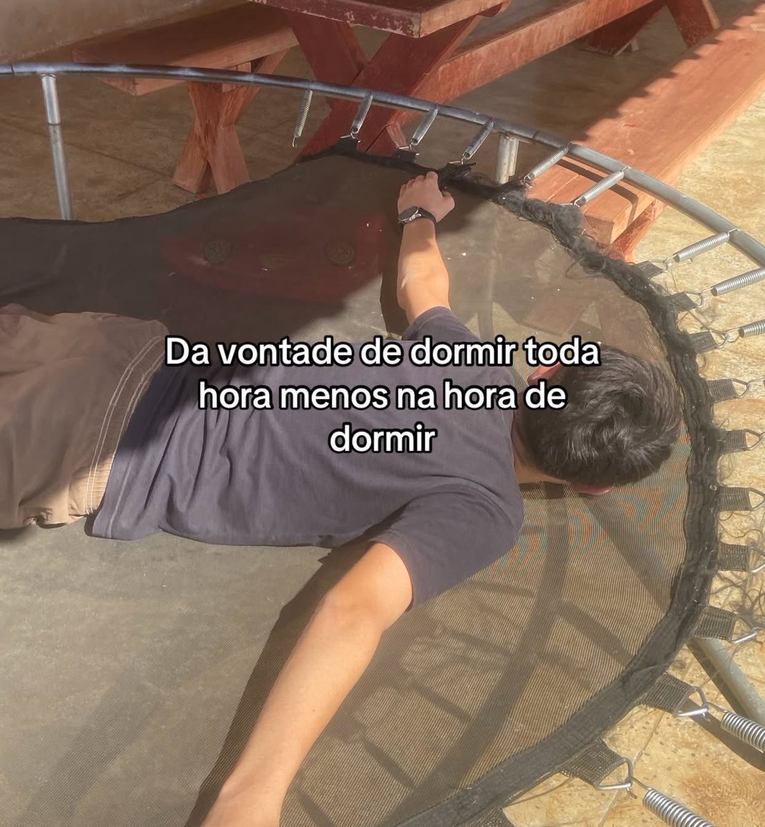 sincera tweet media
