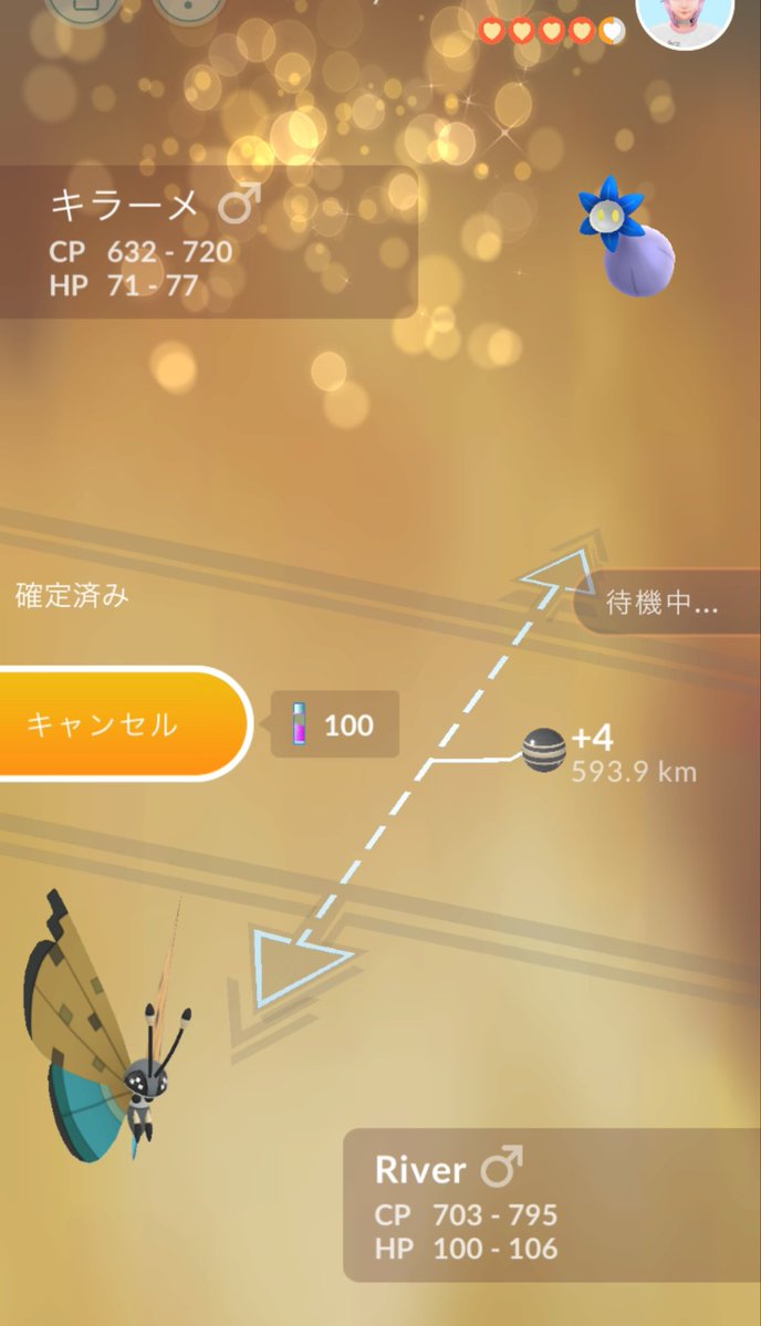 shinobu@札幌GO tweet media