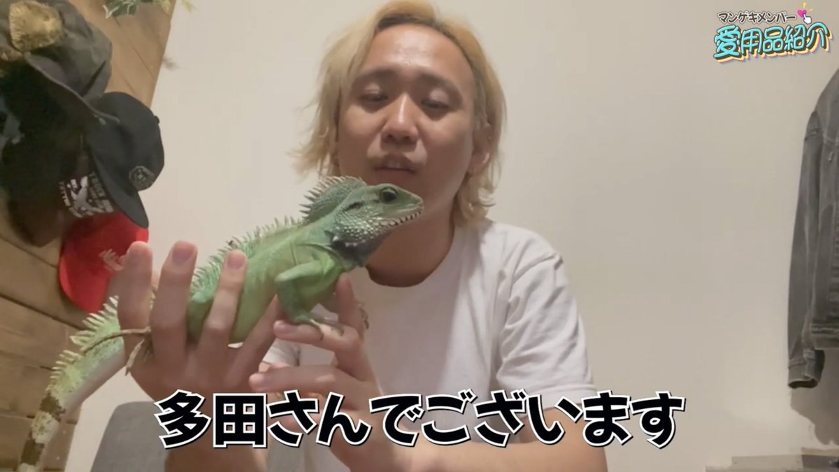 moku_inu_wang's tweet photo. https://t.co/3g2MXiehuP

🦎🦎 https://t.co/5sUEIQTL3G