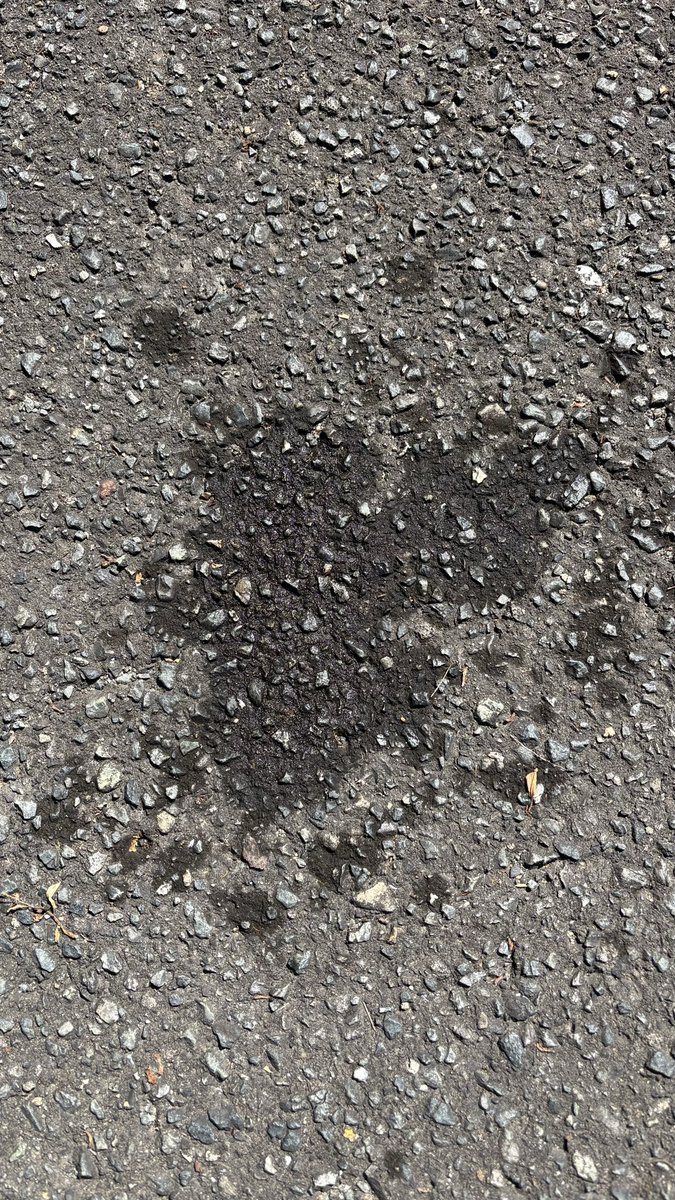 🐸代表チャンネル🐸（代表レーシング総統） tweet media