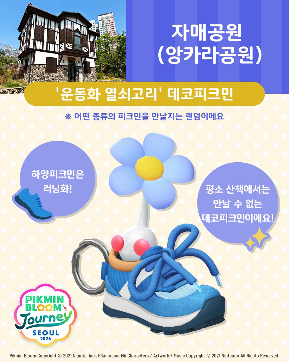 Pikmin Bloom Korea │ 피크민블룸 tweet media