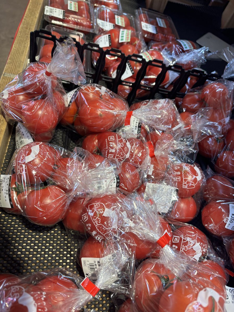フルーツトマトの産地にやってきました