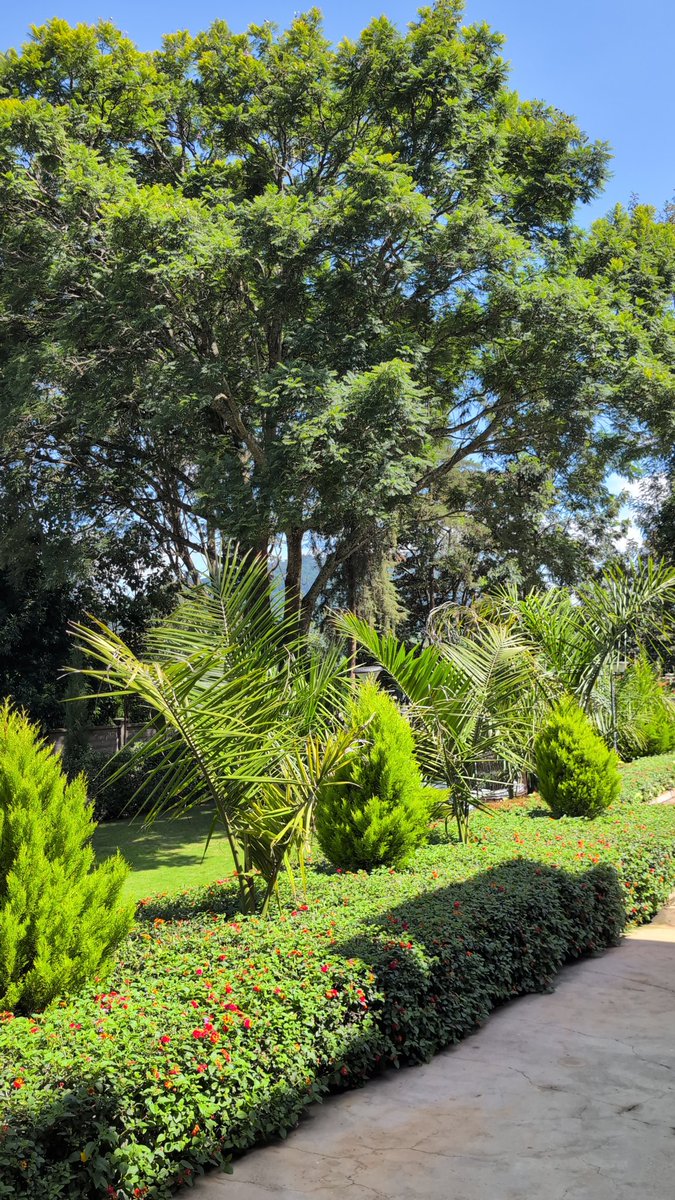 ms_mutegi's tweet photo. This's Highlands view Boutique Villas &amp; Resort, 9.6kms from Mweiga using the same access route to Aberdare National Park 's Treetops gate. It's past the exit to the gate all the way past Njengu sec sch but there are signages on the road to guide you. Any car can access the hotel. https://t.co/QVsCWYSOqy