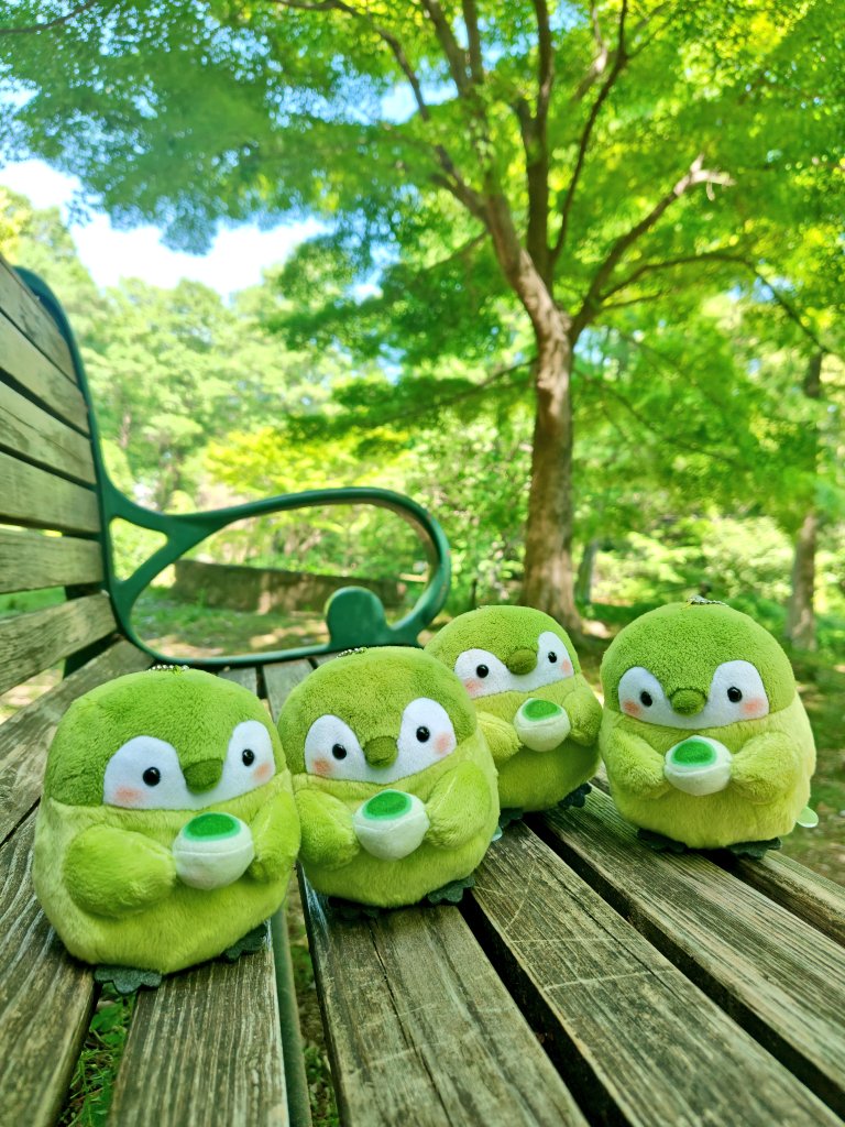🌿新緑と同化しちゃう抹茶衆🍵