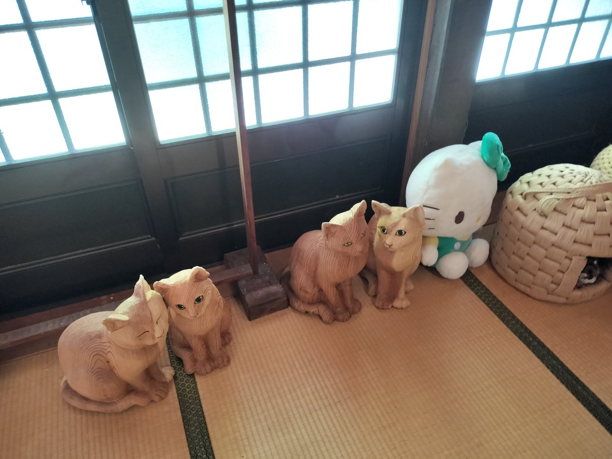 ソルト 📷(退院・リハビリ中） tweet media