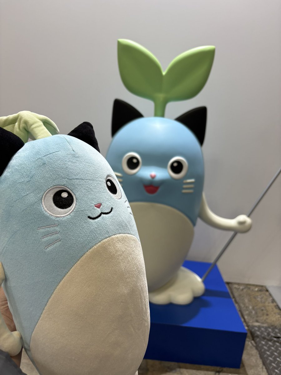 まめちゃん メガネとまめちゃんオブジェ見つけた！！ そして謎のまめちゃんも？