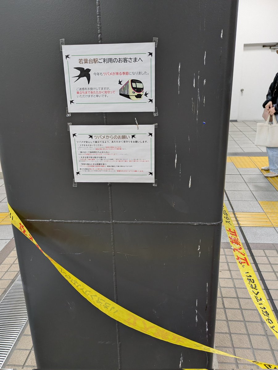 北條一浩 tweet media