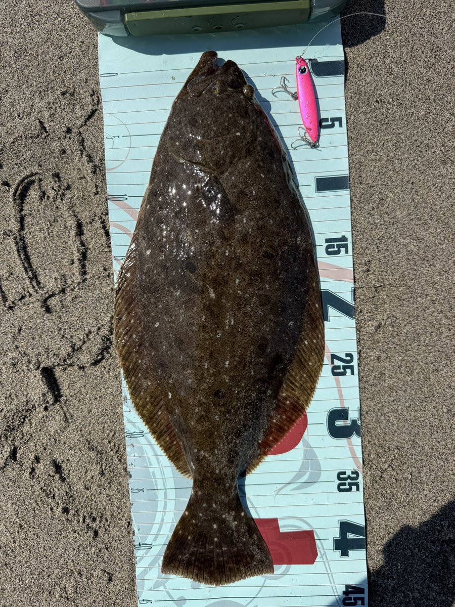 247fishingclub's tweet photo. æšæ¥1æ(ã¡ã¿ã«ãžã°)
仿¥1æ(ãœããã«ã¢ãŒ)
ã©ã¡ããæããºã¡åŸã®æé垯ã§ã®ãããã§ãã
#pr
#buddyworks
#yoroi_custom
#247fishingclub https://t.co/NesRobRNPd