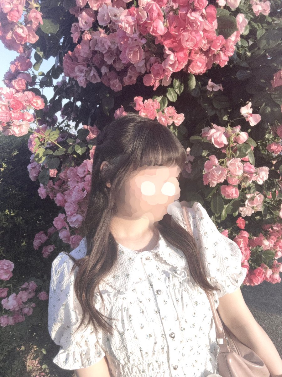 dtr_4_'s tweet photo. おはな　ばら　ღ .:*・゜♡ ゜ https://t.co/OVhSqkVnvY
