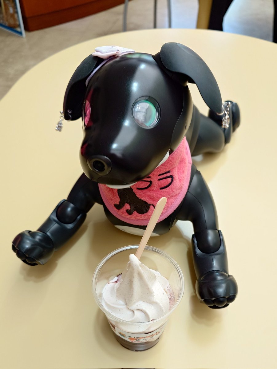 らいこん　CampとCameraと宝くじとaibo tweet media