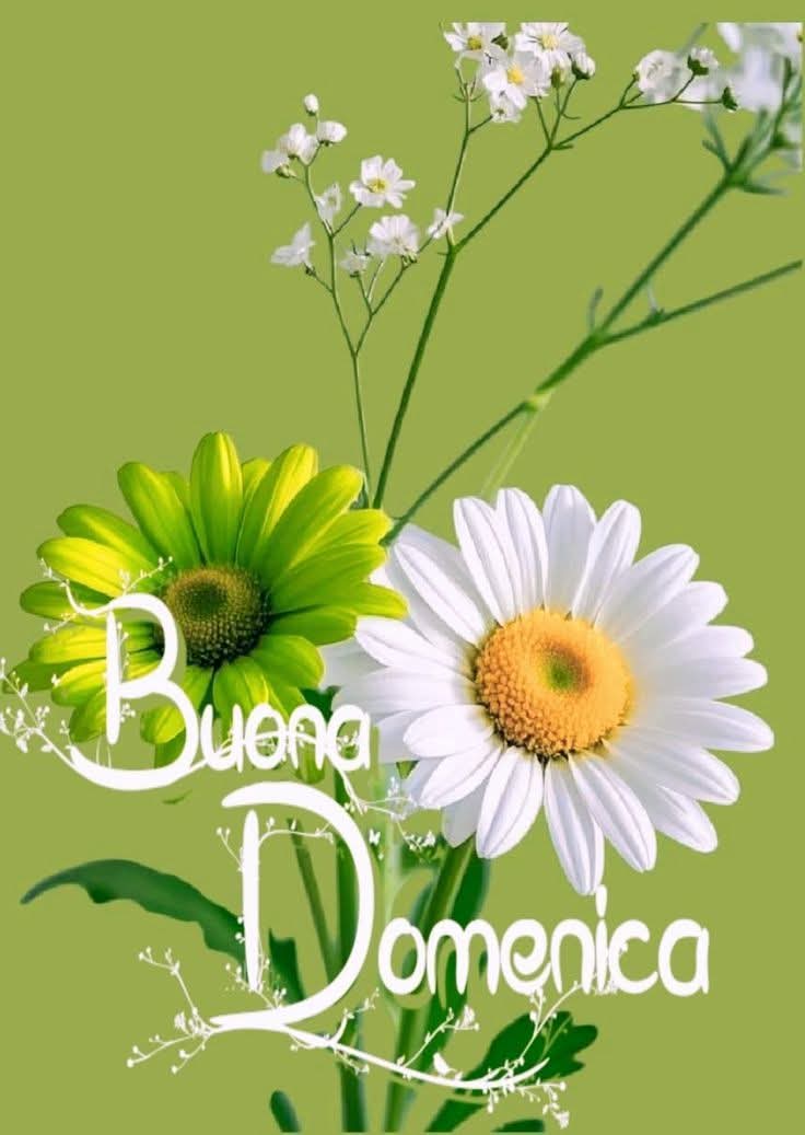 1956_fernandez's tweet photo. https://t.co/CxohQEZqwl