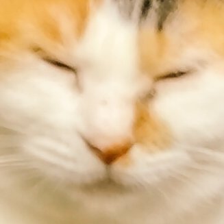 とおる缶 tweet media