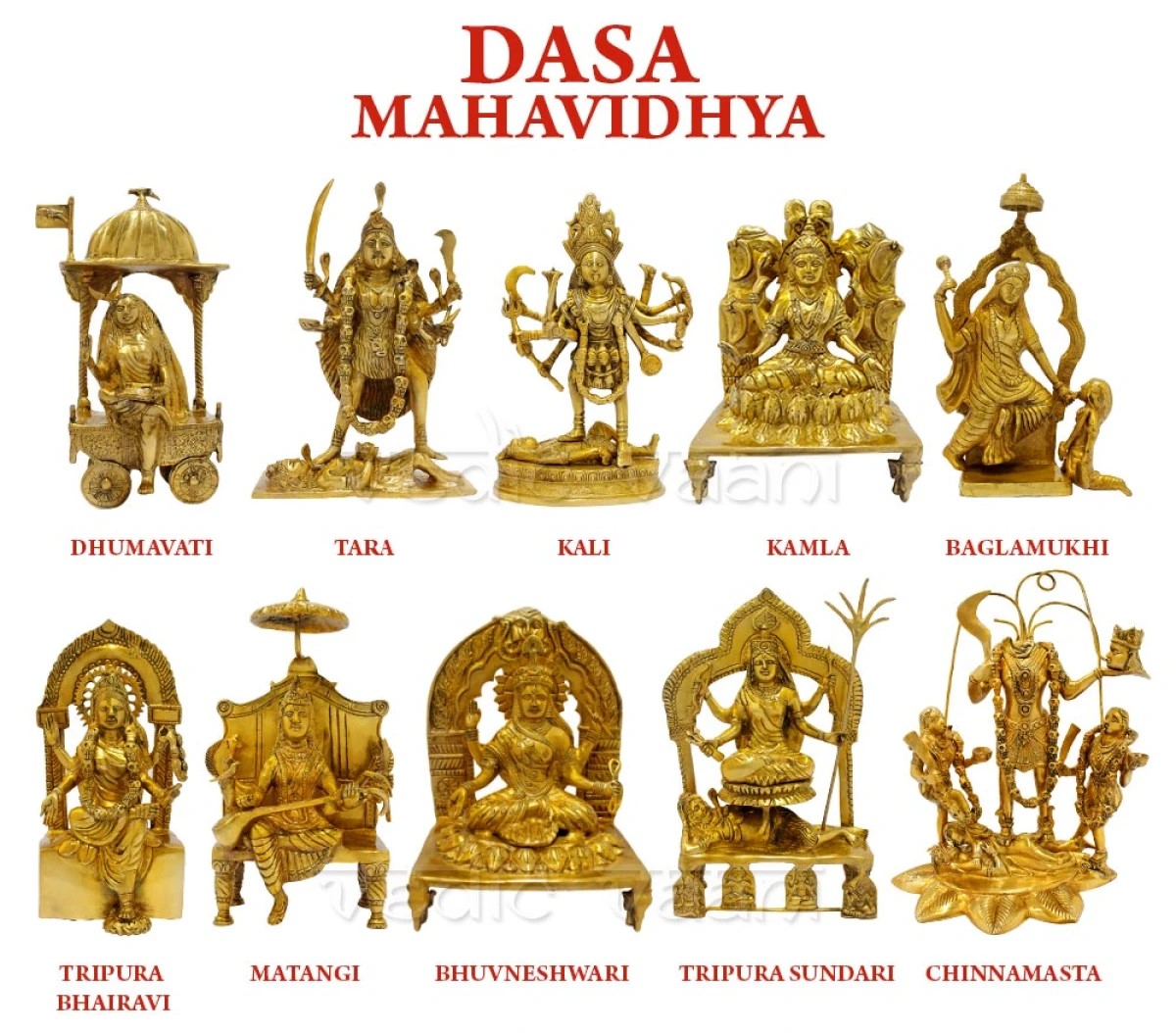 SChawda70877's tweet photo. #Rajmatangi_MahaYagya_Mumbai
 Yagya For Bharat Rakshan 

#SortiSomnathMandir
#हर_हर_महादेव_शिव_शंभू_ॐ

Around 5,000 devotees expected to join this divine event. 🕉️✨ https://t.co/Hml20G73sE
