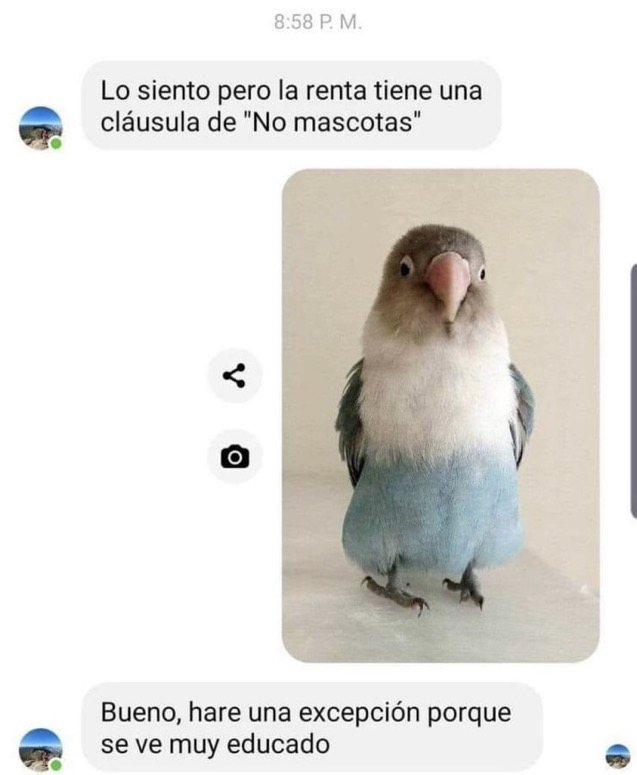 Memakker's tweet photo. y luego dicen que ser educado no vale para nada https://t.co/NGUUZnj25n