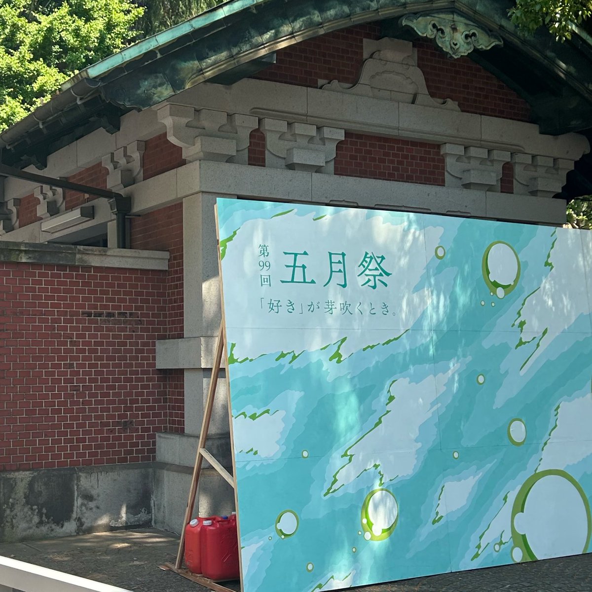 私、やりたいことができた！