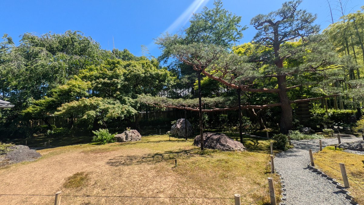 たいつ tweet media