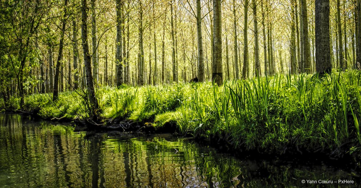e_niort's tweet photo. #DeuxSèvres. Du Marais poitevin à la Gâtine : neuf escapades pour explorer les Deux-Sèvres en 2026.
→ https://t.co/fYPonI4fOV https://t.co/DaYiQ9YROV