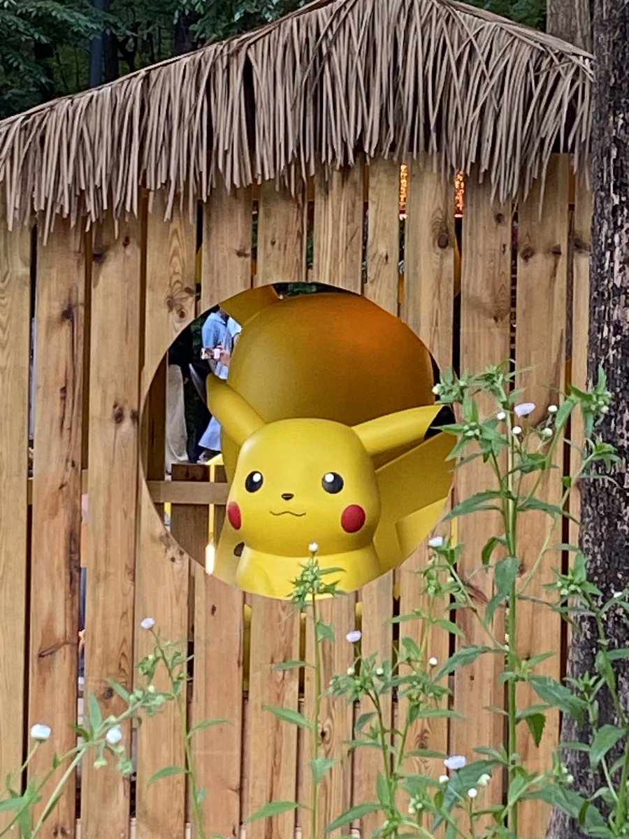 pg478's tweet photo. ポケモン三昧 https://t.co/ptJMhax2qm