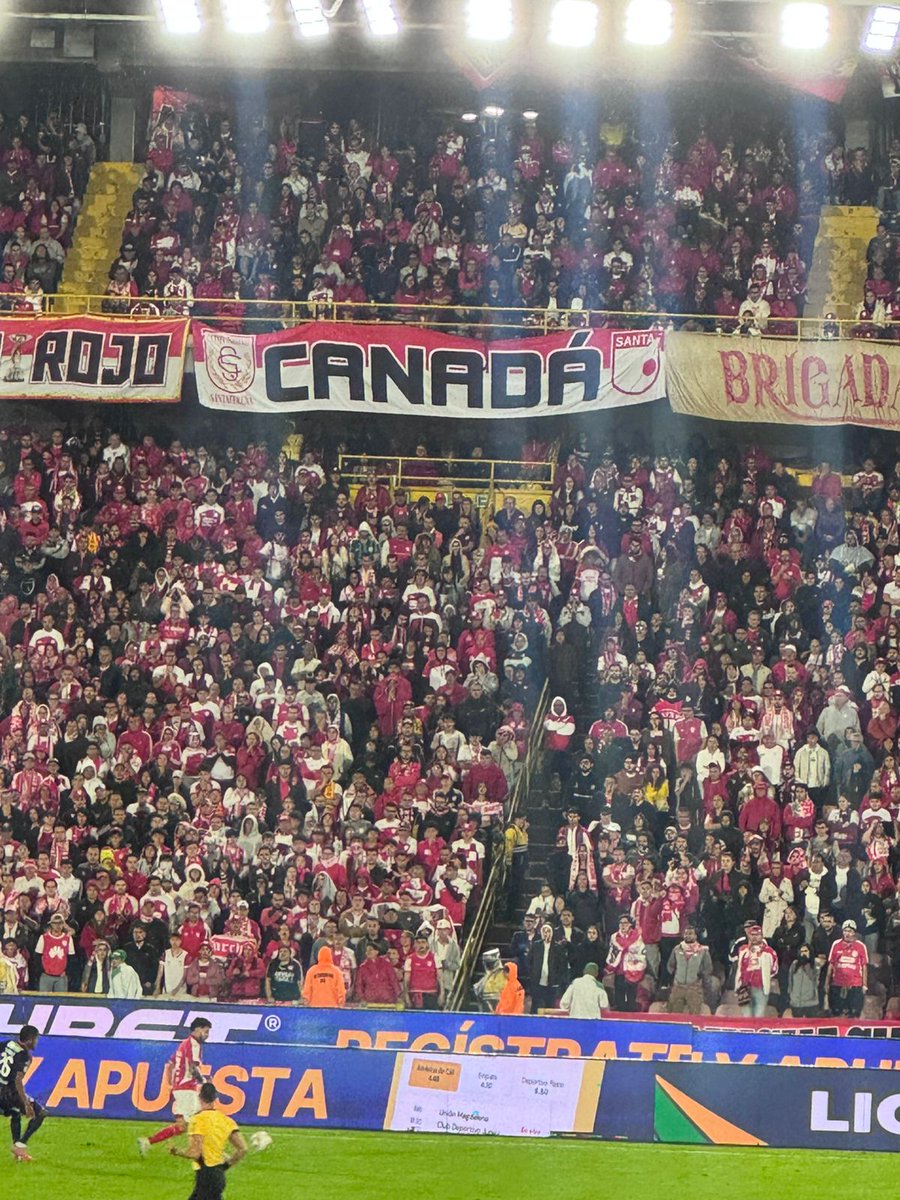 🇨🇦 Canadá del León 🦁🇮🇩 tweet media