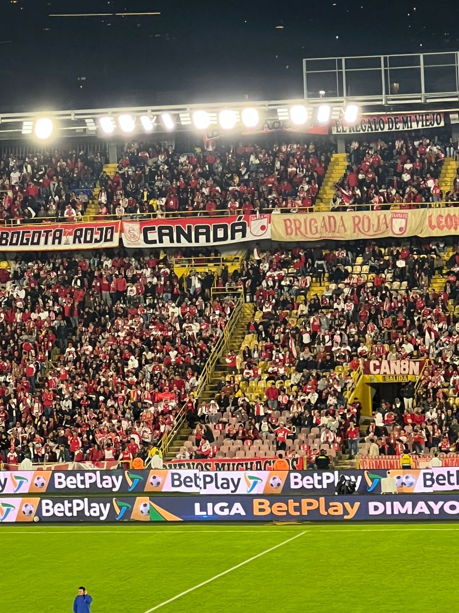 🇨🇦 Canadá del León 🦁🇮🇩 tweet media