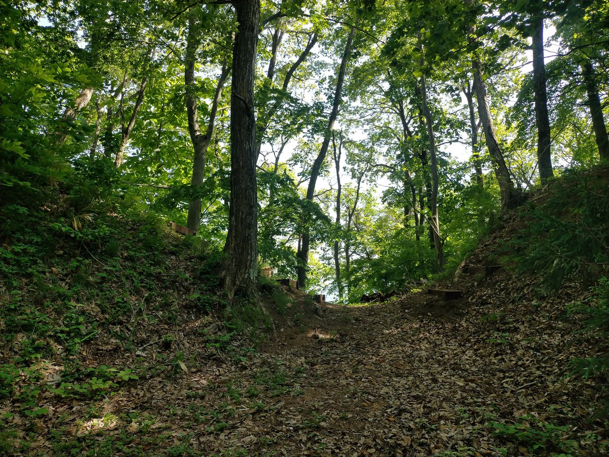 ウモ【埋もれた古城】 tweet media