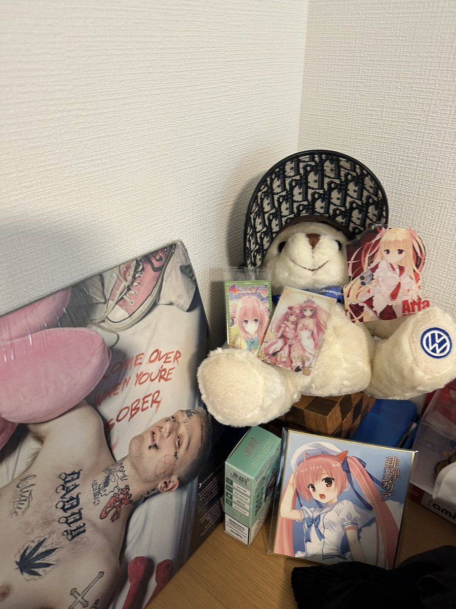 ここたむ2.0 tweet media