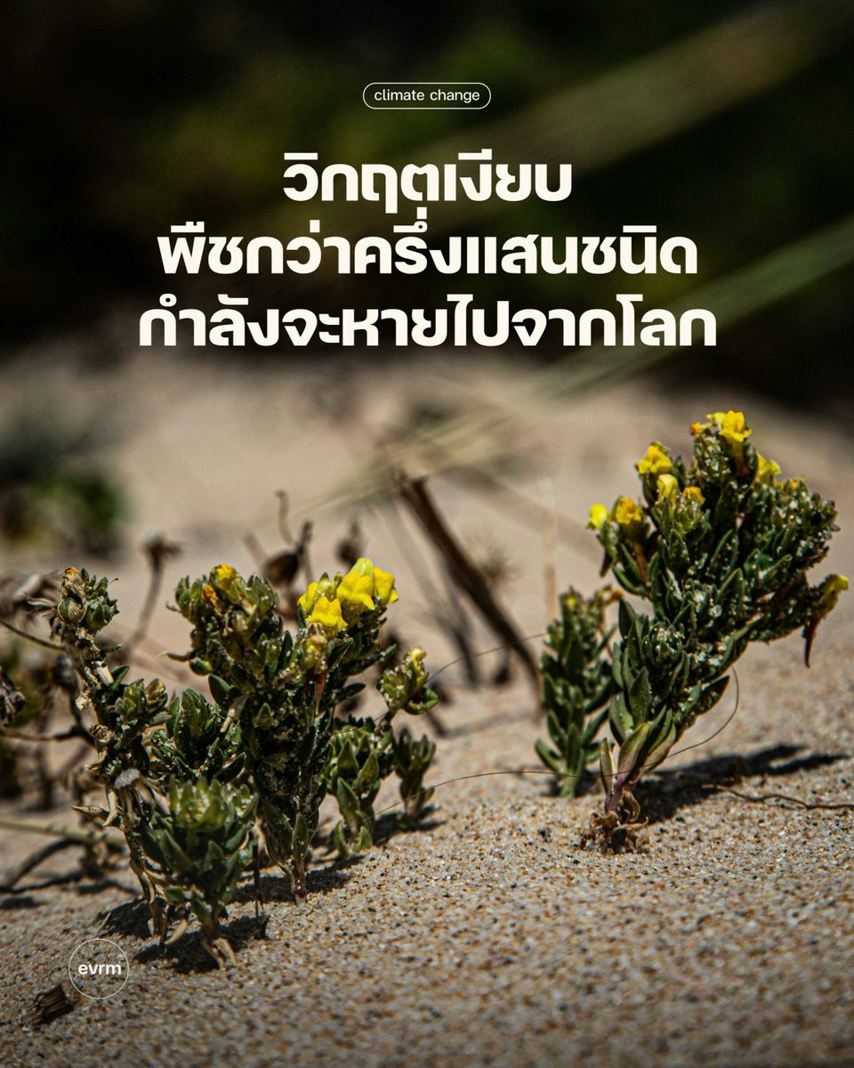 environman tweet media