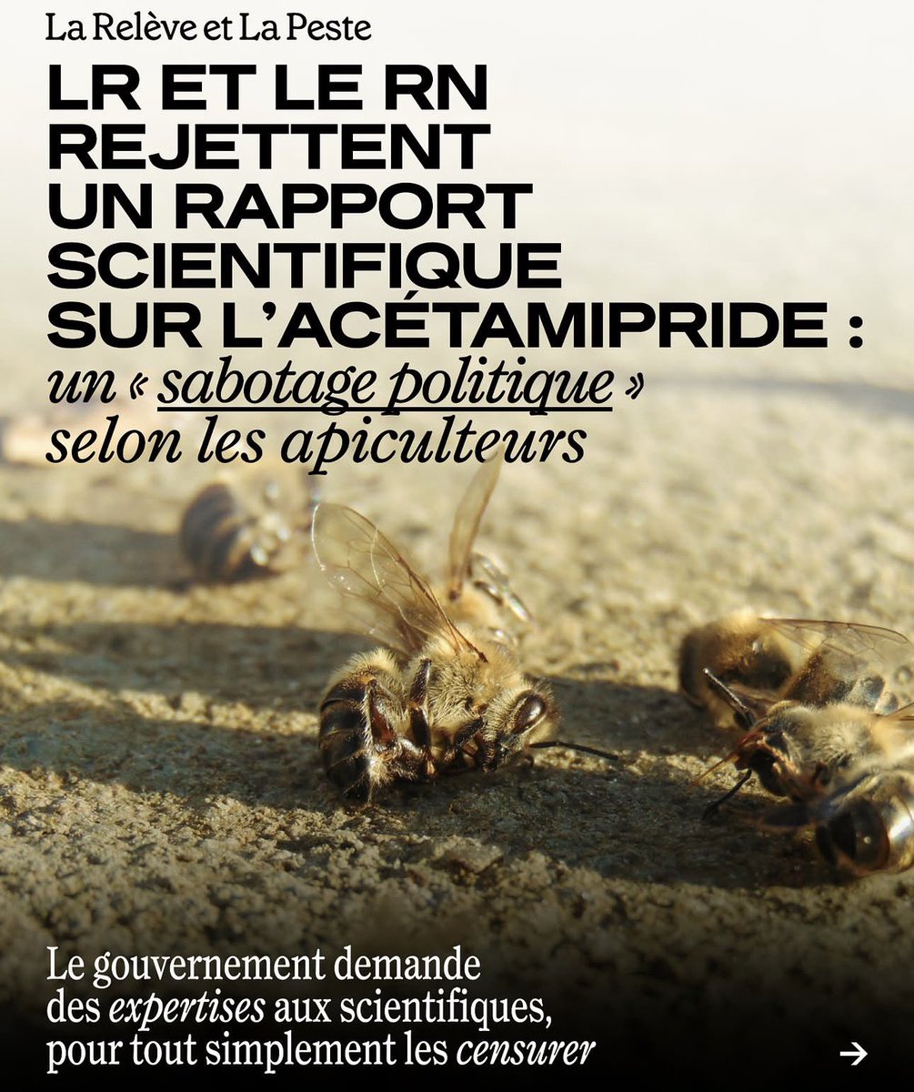 Dubd 🔻🇫🇷 tweet media