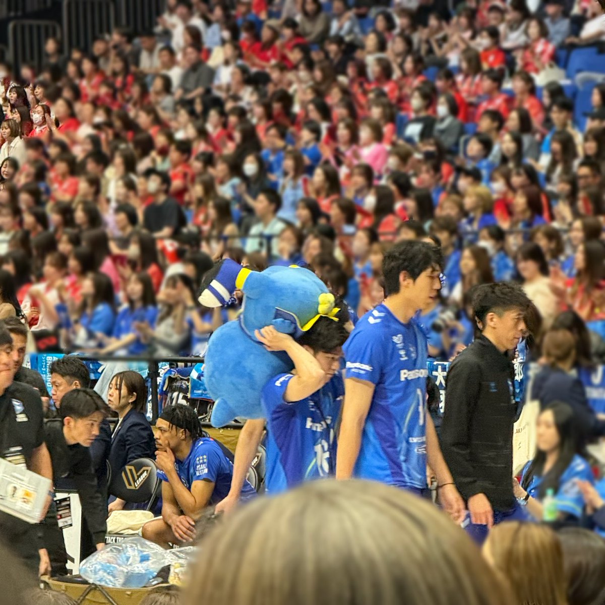 よしみん♬ tweet media